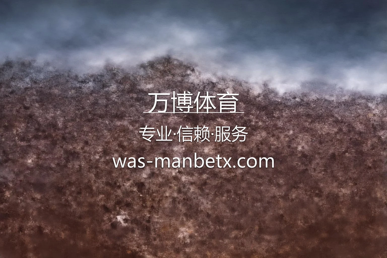 万博体育 官方大厅